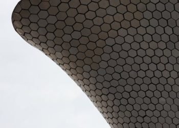 Software libre y feminismo: Tecnología inclusiva y equitativa