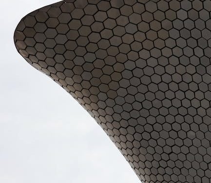 Software libre y feminismo: Tecnología inclusiva y equitativa
