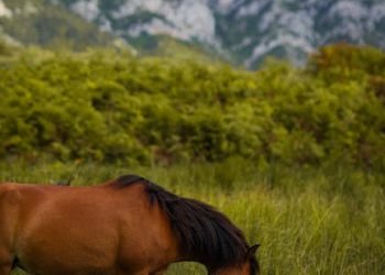 "10 Mujeres Inspiradoras que Están Cambiando el Mundo"