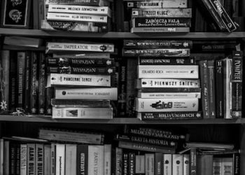 12. Literatura feminista