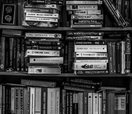 12. Literatura feminista