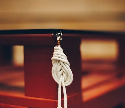 Descubre los mejores Proyectos Femeninos DIY